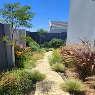 Best Landscaping & Gardening Services-Nakuru Experts image 12