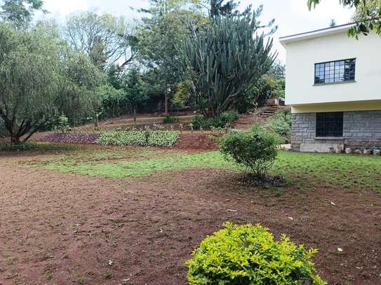 4 Bed House with Garden at Kitisuru image 20