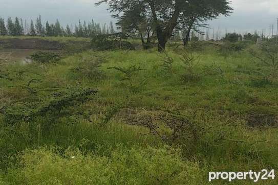 50*100 plots at juja farm with ready title deed image 1