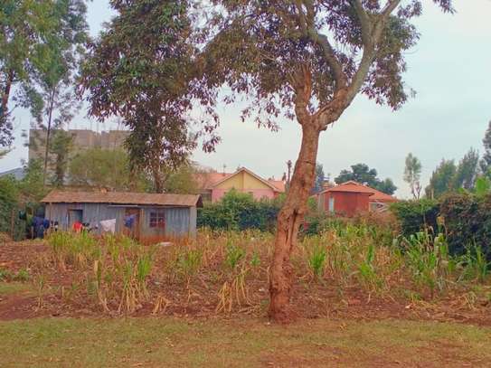 0.3 ac Land at Ngegu Kiambu image 23