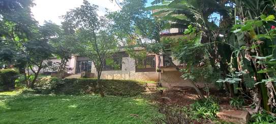 Commercial Property with Garden in Lavington image 10