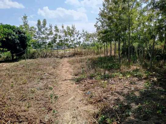 Prime 0.4 Acre land with 2 br house for Sale image 9
