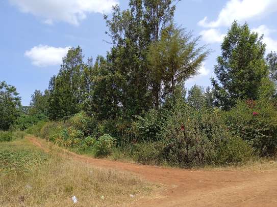 1/8 acre plots for sale - Ruiru, Kiambu image 3