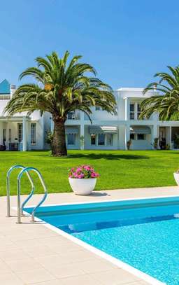 Swimming pool repair and maintenance. image 3