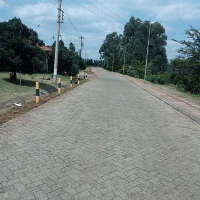 Commercial 3/4 acre plot for sale Naivasha Moi south road image 1
