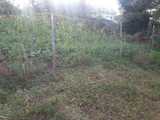 Lovely One Eighth Plot in Ngong image 4