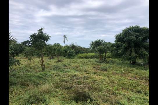 Residential Land in Vipingo image 12
