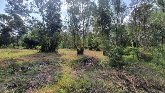 Land in Karen image 4