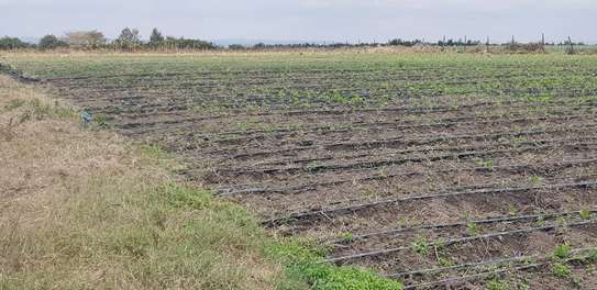 0.25 ac Land in Isinya image 2