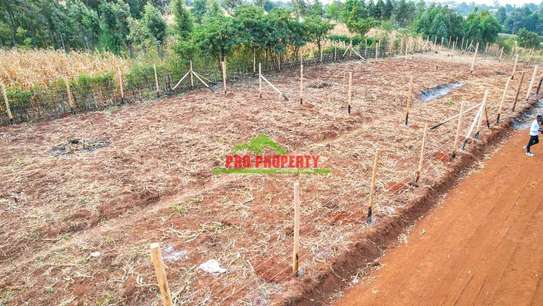 Prime Residental plots for sale in Kikuyu,karai-Migumoini image 3