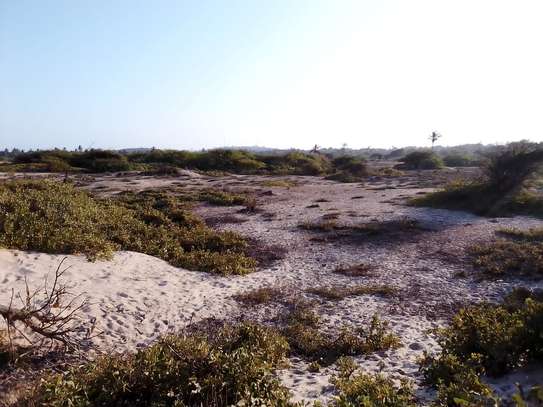 6 Acres beachfront land  for sale in Mambrui,Malindi image 2