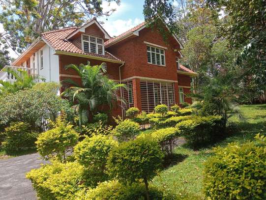 5 Bed House at Rosslyn Lone Tree image 10