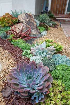 Professional Gardeners for Hire in Thika Town | Call Now image 11
