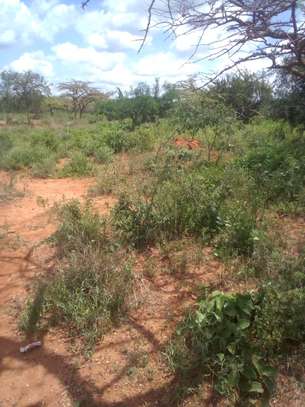 163 Acres Touching Makindu-Wote Road Is Available For Sale image 1