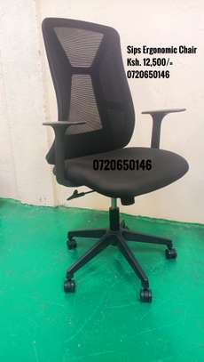 Ergonomic Office Chair image 2