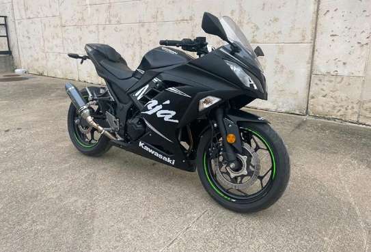2017 Kawasaki Ninja 300 ABS image 5