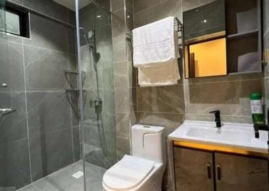 1 Bed Apartment with En Suite at Padimore Road image 9