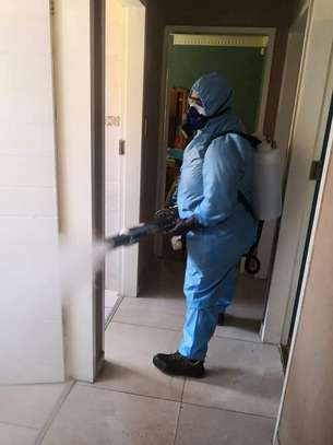 Fumigation and Pest Control Services Kabete image 4