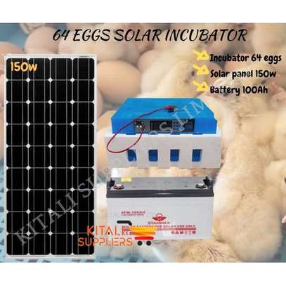 64eggs Solar Incubator Complete Kit image 1