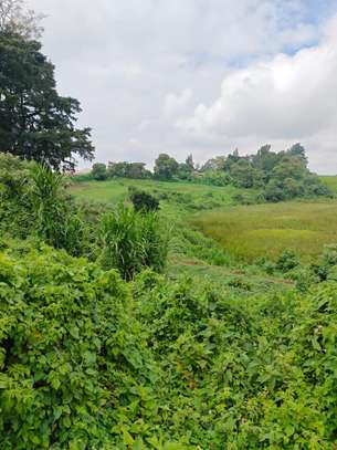 8 ac Land at Redhill image 3