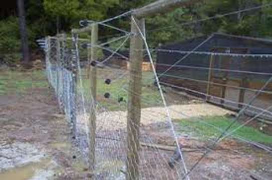Professional Electric Fencing- Quality Electric Fence image 11