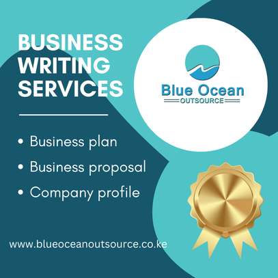 Business plan, proposal, profile writing image 1