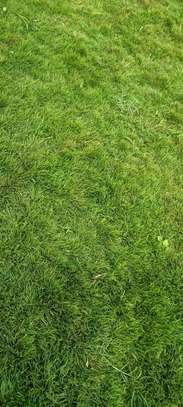 Faith's-Line Landscapers image 5