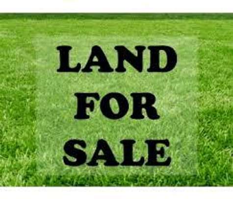 1.5 Acres Of Land For Sale at KENOL,Ideal for Petrol Station image 3