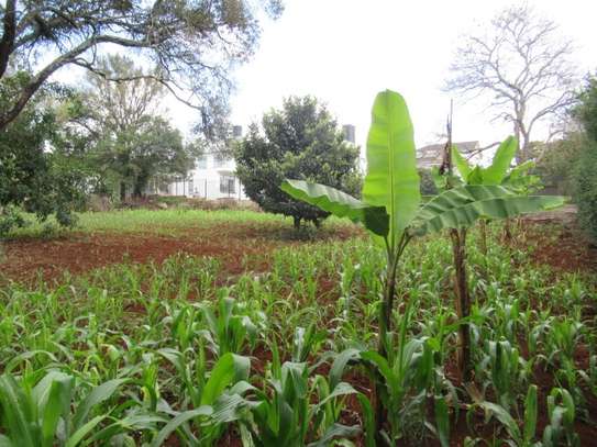 Residential Land at Karen Hardy image 10