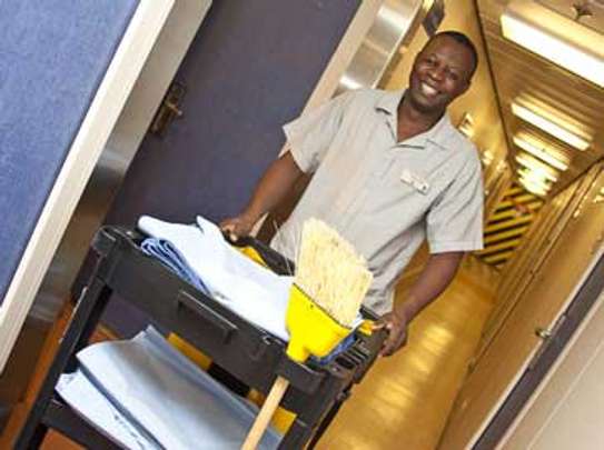 Chef/Cooks, Housekeepers, Gardeners, Drivers & Chauffeurs, Domestic Helpers, Carpet Cleaning ,Curtain Cleaning, Cleaners & Garden Services in Nairobi. image 12