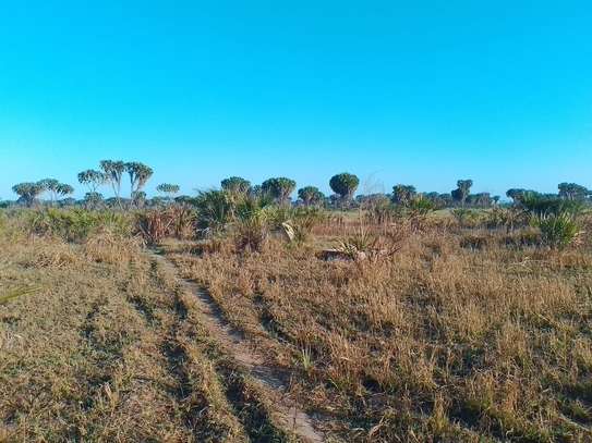 33 ac Commercial Land at Kiwengu image 14