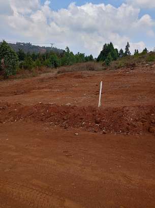 50 by 100 plots for Sale located in Nachu, Gatune. image 3