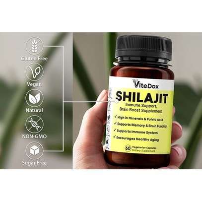ViteDox Shilajit Immune Support, Brain Boost image 2