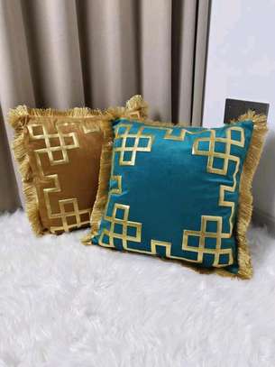 Throw pillows and cases image 1