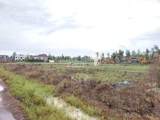 Prime 1/4 acre plot for sale in Ruiru Mhasibu image 4