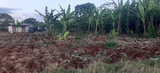 Residential Land at Adjacent To Muhasibu Estate image 16