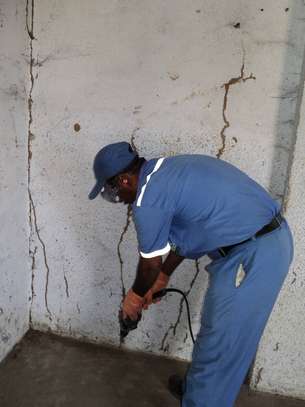 House Cleaning-Lavington, Gigiri, Muthaiga, Brookside, Spring Valley, Loresho, Kilimani, Kileleshwa, Hurlingham, Runda, Kitisuru, Nyari, Kyuna, Lower Kabete, Westlands, and Highridge,  Kangemi, Kawangware, and Dagoretti. image 11