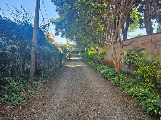 Land at Mutati Road image 1