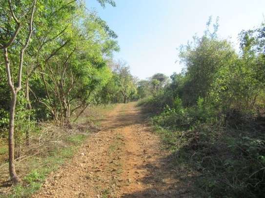 1 ac Commercial Land at Diani image 5