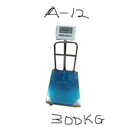 Generic GOVERNMENT Recommended A12 Digital Weighing Scale 300kg image 1