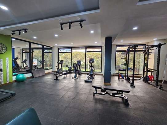 4 Bed Apartment with En Suite in Spring Valley image 10