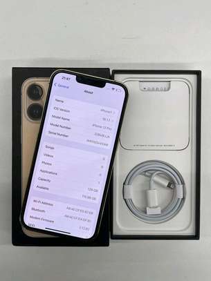 Apple Iphone 13 Pro 1Tb Gold In Colour image 2