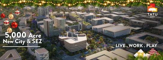 0.25 ac Land at Tatu City image 1