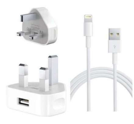 iPhone Charger image 1