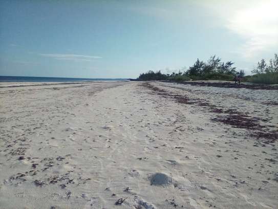 50-Acre Beach Plot For Sale in Bofa/Kilifi image 1