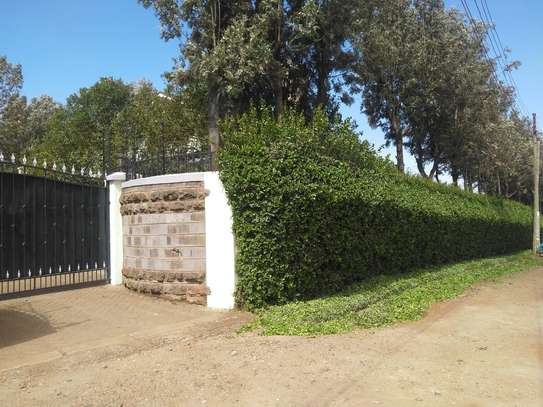 6 Bed House with En Suite in Ngong image 12