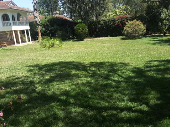 Lovely 5 BR House plus Dsqs in Karen on One Acre Land image 8