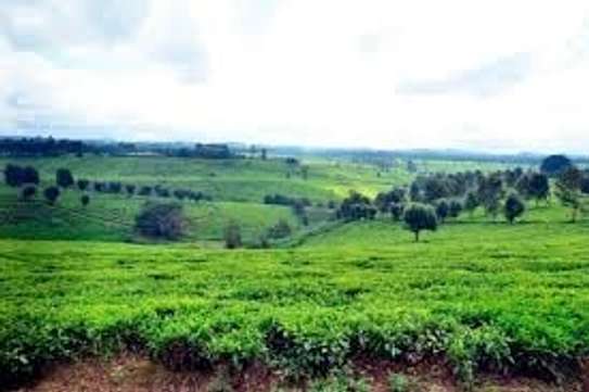 20 ac Land at Riara Ridge image 15