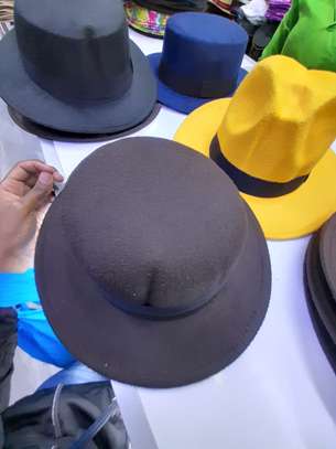 fedora hats image 1