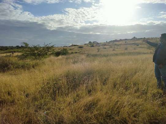 Affordable Plots in THIKA-MUTHARAA. image 7
